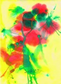 Red Poppy Flowers